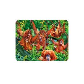 Obrázek z Magnet 3D 7x9cm - orangutani na liánách (25) 